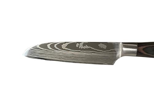 Set of 5 Damascus Steel Chef Knife Y7626