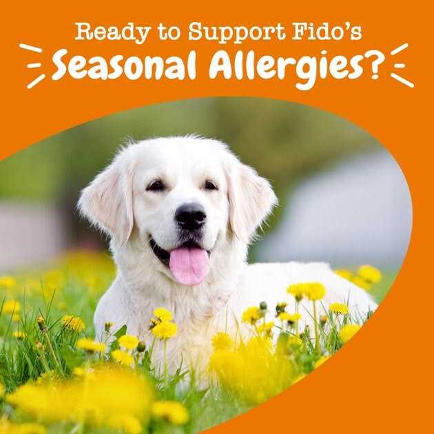 Salmon Allergy & Immune Bites for Dogs K877