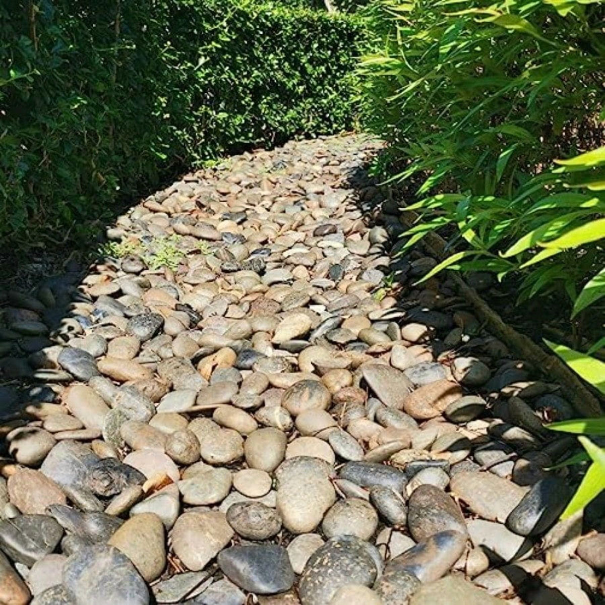 40lbs Natural River Rocks Smooth Stones W5630
