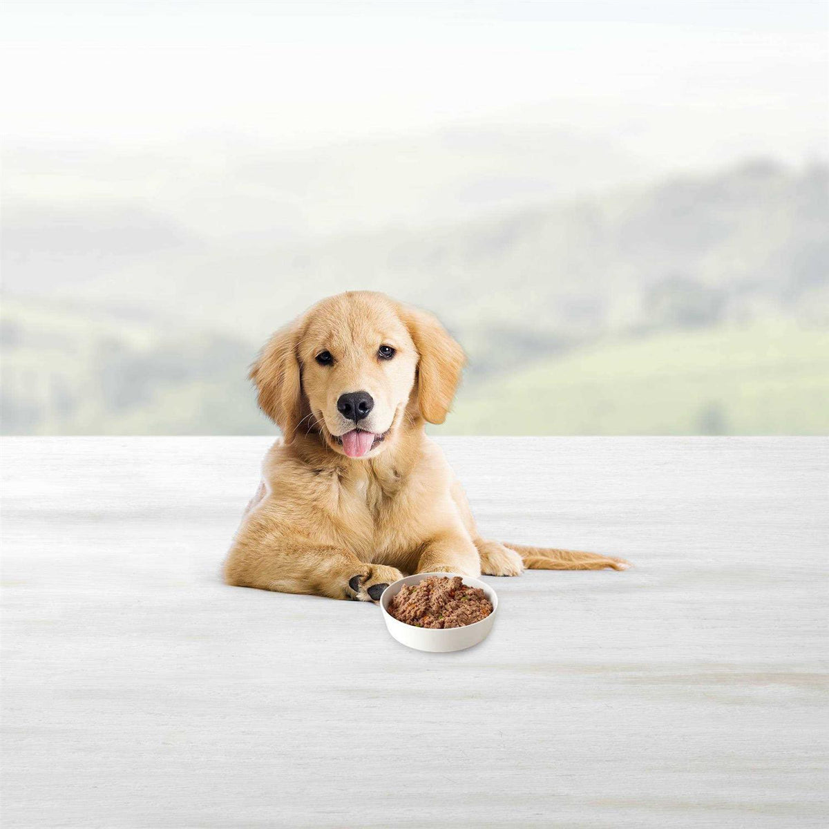 Blue Buffalo Homestyle Recipe Puppy Chicken Dinner Wet Dog Food C8353