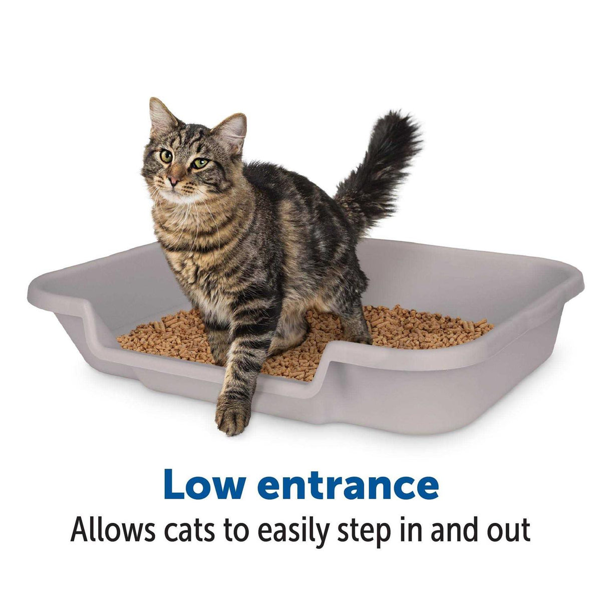 Large Misty Gray Litter Box Q90355