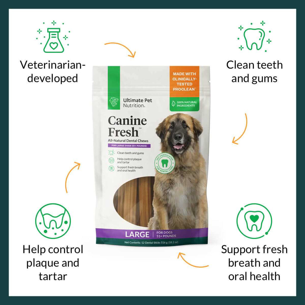 All Natural Canine Fresh Dental Chews Sticks I836892