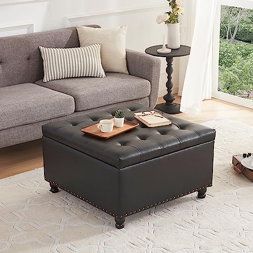Brown Leather Ottoman Coffee Table with Storage I2641