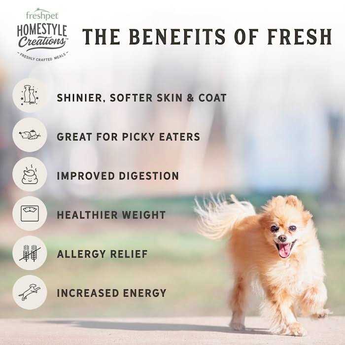 Chicken Patties Adult Wet Dog Food X556159