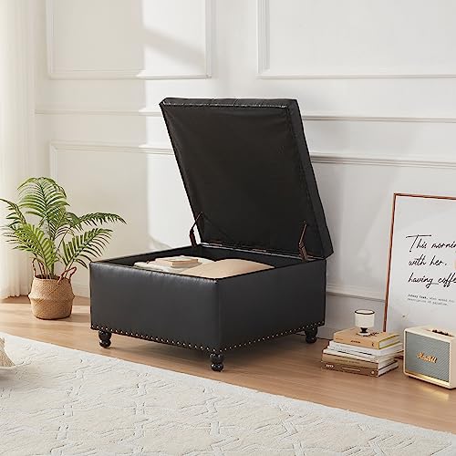 Brown Leather Ottoman Coffee Table with Storage I2641