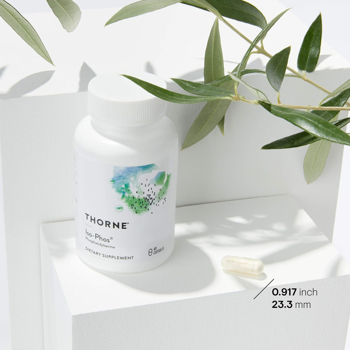Phosphatidylserine Supplement 60 Capsules W617