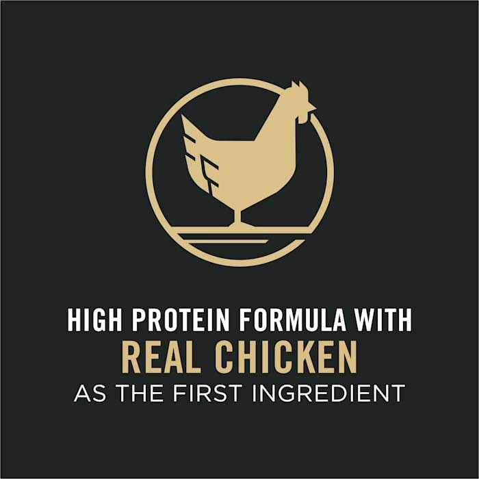 Chicken and Rice Formula Senior Dry Cat Food C818