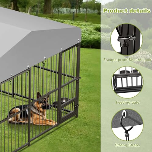 10x10x6 FT Heavy-Duty Outdoor Dog Kennel with Roof Cover and Lock C38324