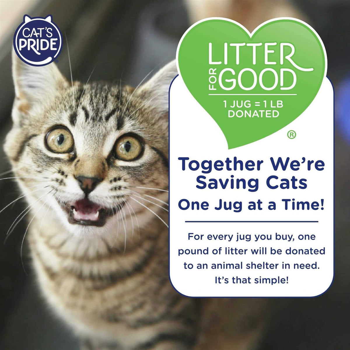 Unscented Multi-Cat Clumping Litter W9324