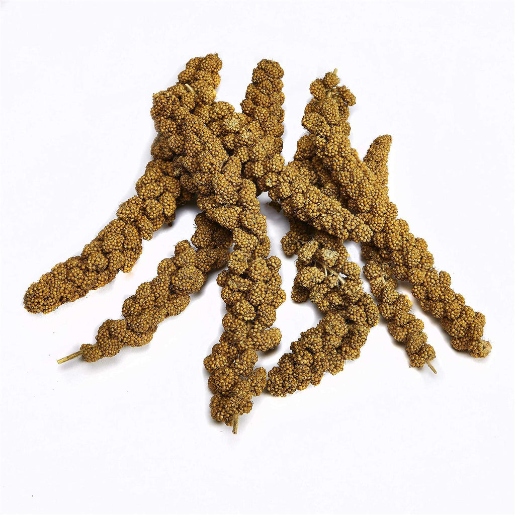 Kaytee Spray Millet O6267