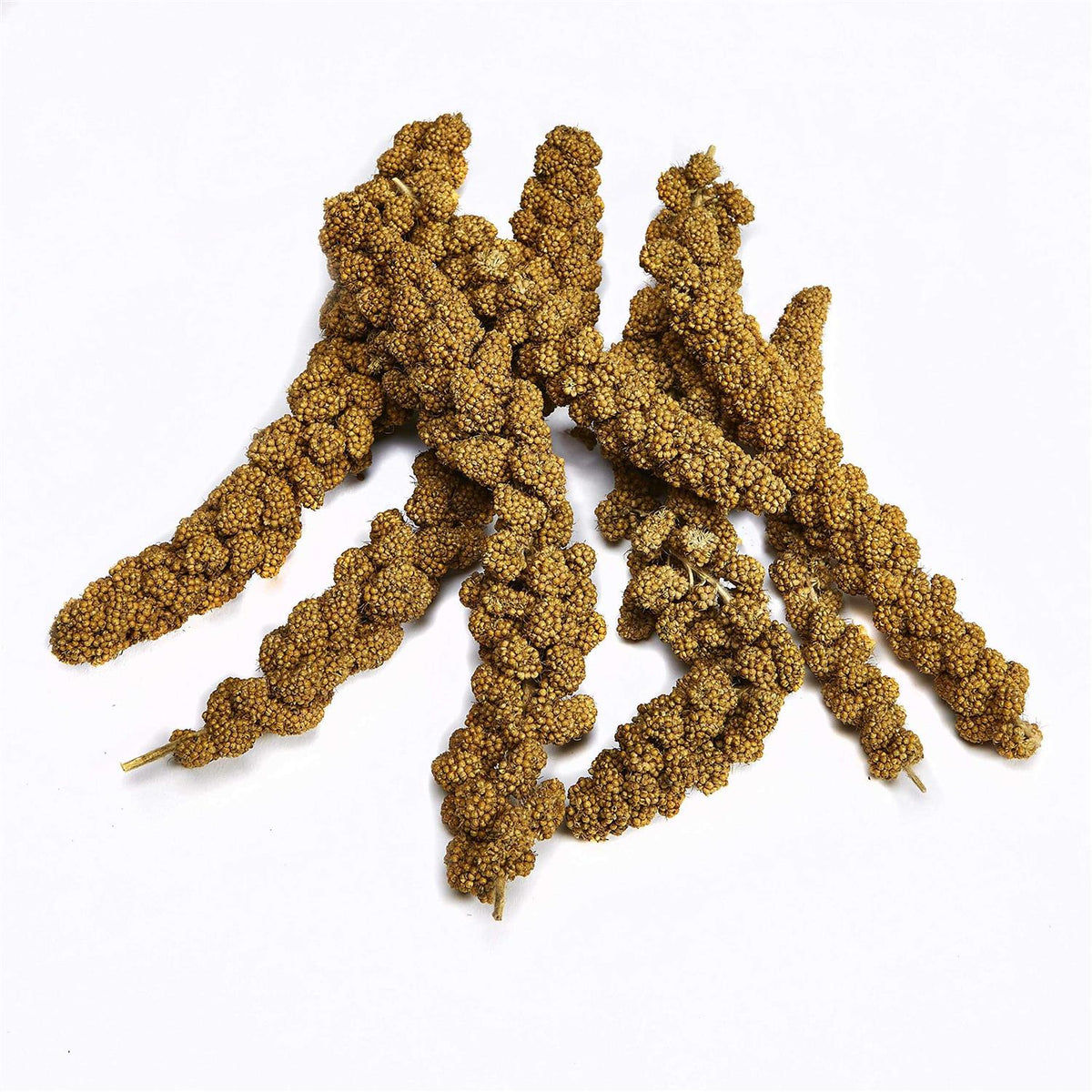 Kaytee Spray Millet O6267