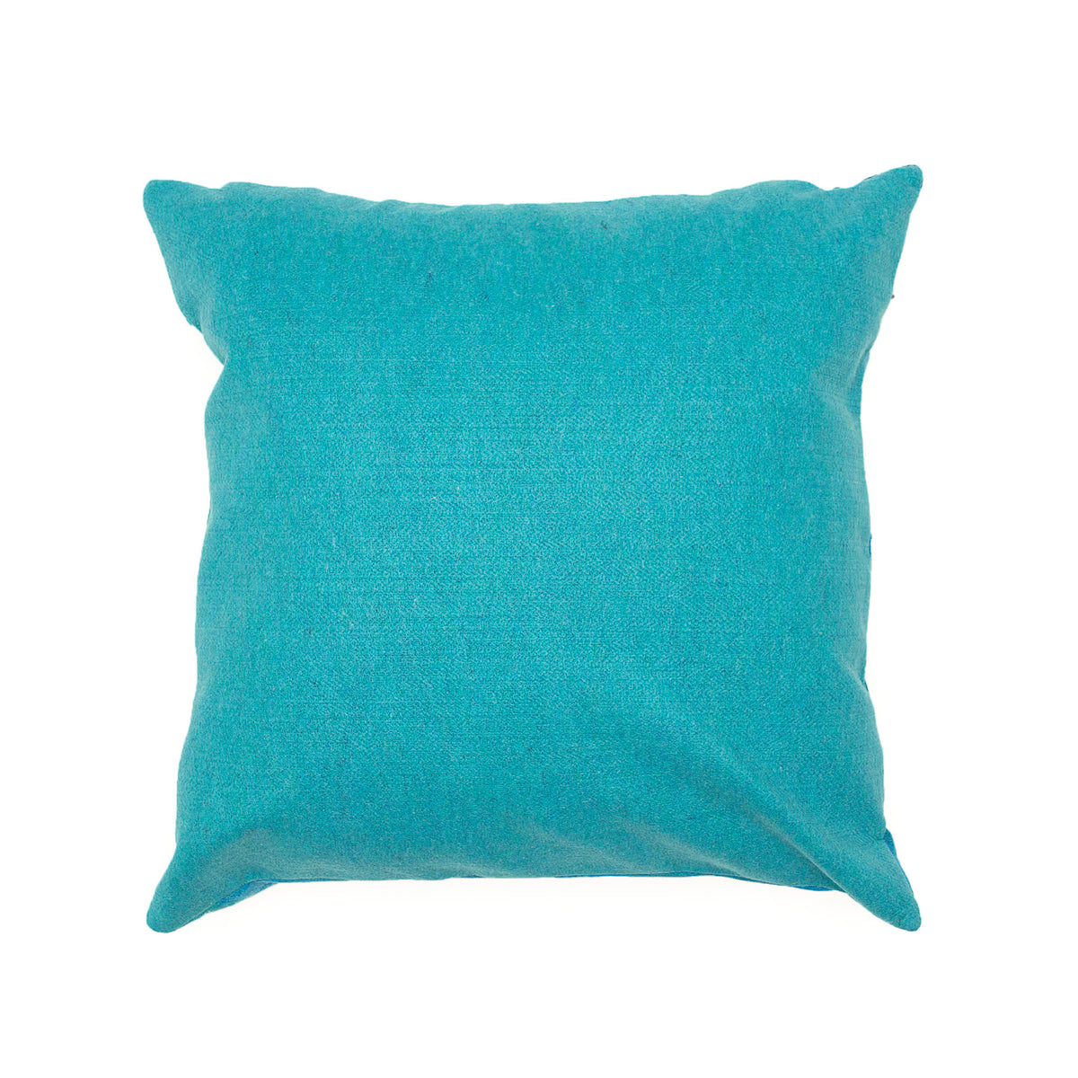 Reef Indoor Outdoor Throw Pillow